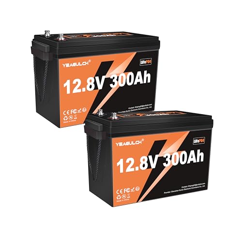 12V 300Ah LiFePO4 Lithium Battery, Built-in 200A BMS with 6000+ Deep Cycles Rechargeable 3840Wh Lithium Battery for RV Solar Marine Solar Panel Camping