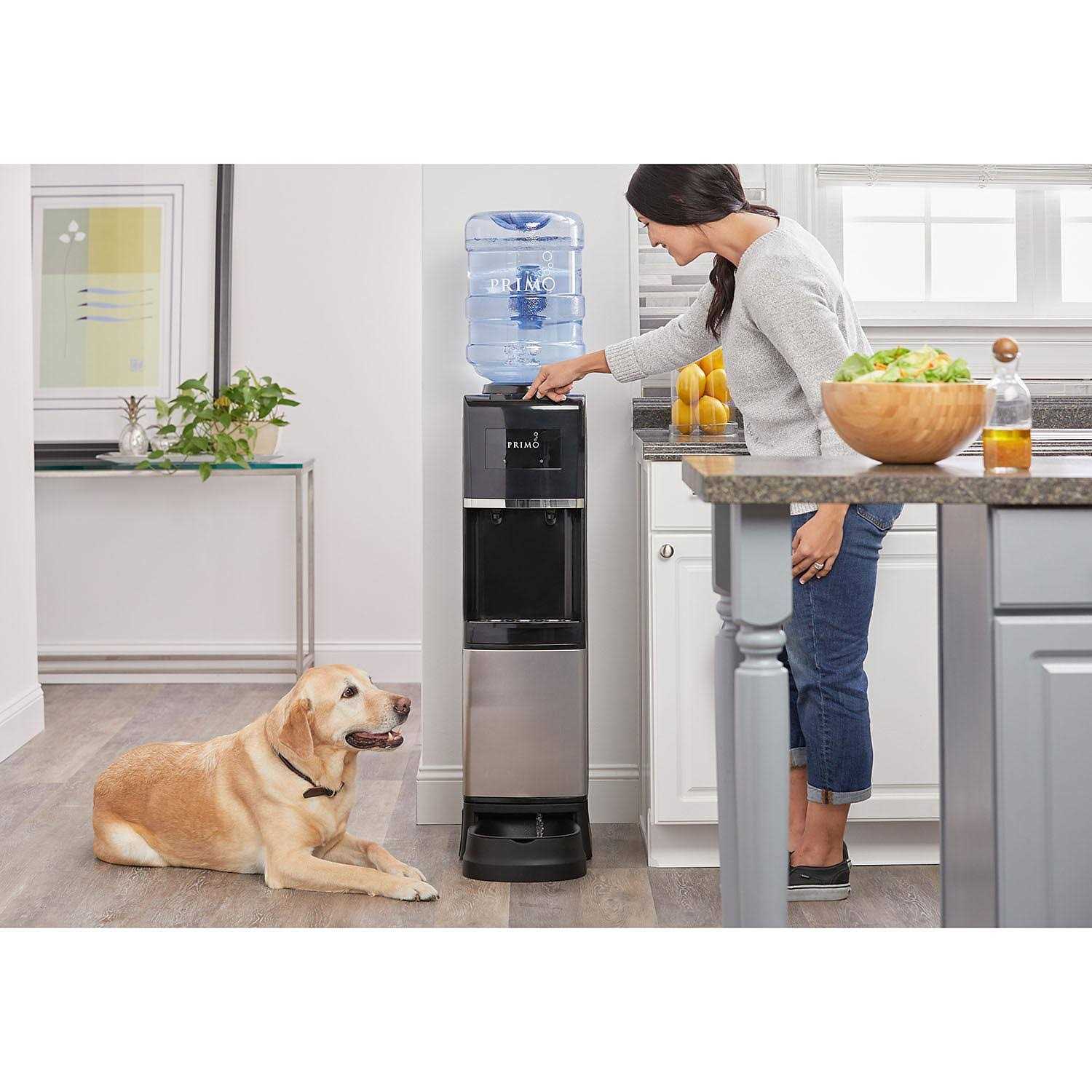 Primo Pet Station Water Dispenser Top Loading, Hot/Cold Temperature, Black and Stainless Steel - Pet Supplies online store