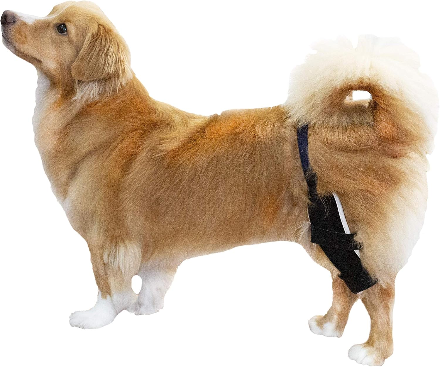 Poveo hinged Dog Knee Brace with Patella Tracker - Neoprene Canine Stifle Support for Dogs with Flexible Support, Torn ACL, Patella Luxation, osteoarthritis, limping from Joint Pain, Hip dysplasia