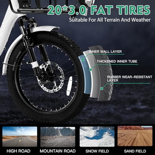 LILYPELLE Electric Trike for Adults, 500W Folding Electric Tricycle Electric Trike, 3 Wheel Electric Bicycle Motorized Three Wheel Ebike with Large Basket for Women Men