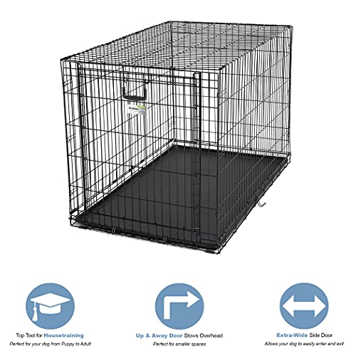 MidWest Homes for Pets Ovation Single Door Dog Crate, 42-Inch