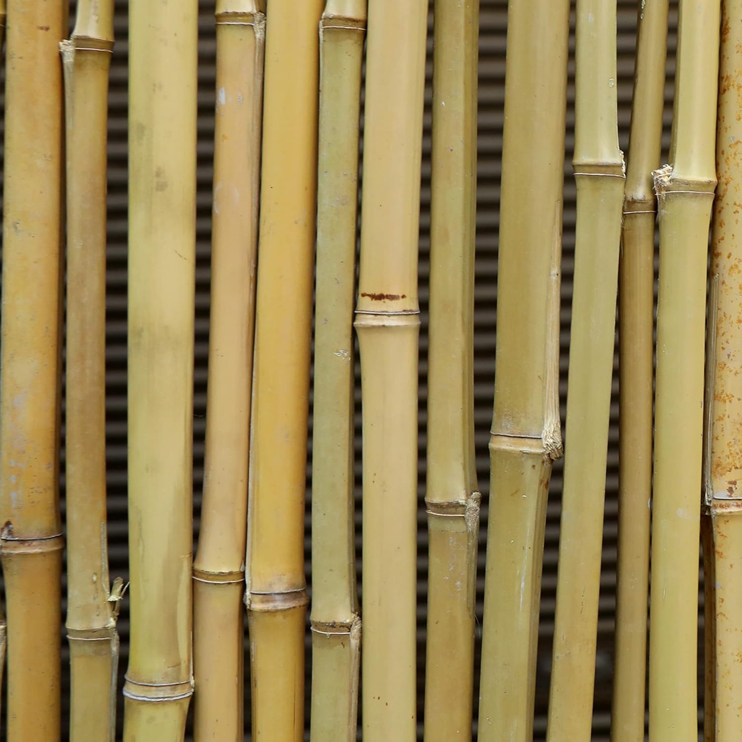 Bamboo Fence 6 Feet High, Outdoor Privacy Screen, Rolled Natural Fencing, 8ft x 6ft, 8 Foot Long Roll, Backyard Wall Covering, Private Screening Cover Panel for Patio, Balcony, Railing | Houseables