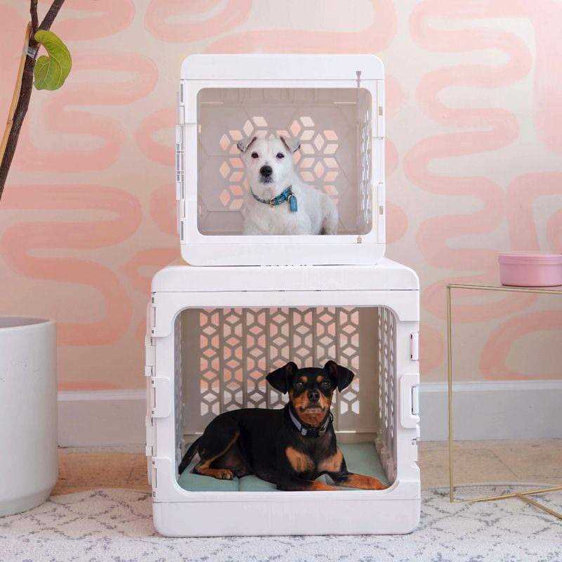 KindTail PAWD Collapsible Dog &amp; Cat Crate - Pet Supplies online store