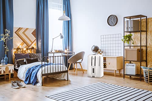 De'Longhi Dehumidifier with Pump, White