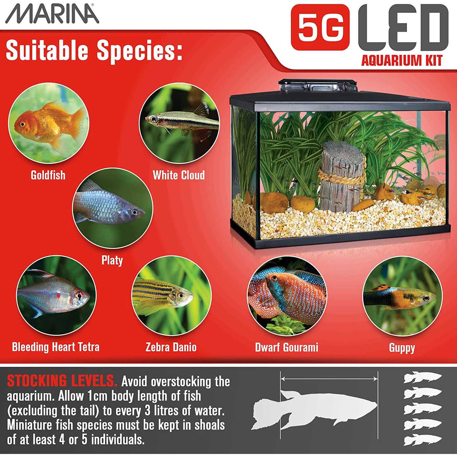 Marina 5G LED Glass Aquarium Kit - Pet Supplies online store