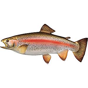 Cabela&s Freshwater Fish Mount Replica Small Rainbow Trout