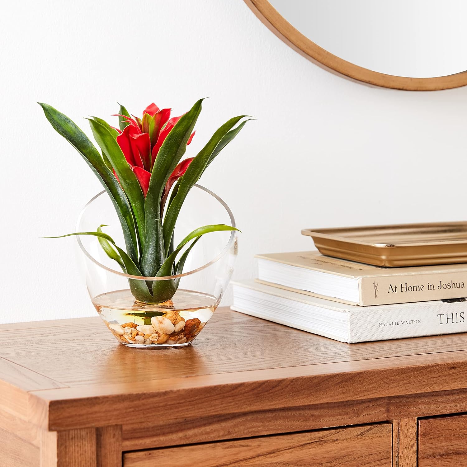 Nearly Natural 1535-RD Tropical Bromeliad in Angled Vase, 8, Red