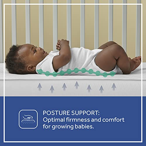 Sealy Flex Cool Breathable Hypoallergenic 2-Stage Dual Firm Waterproof Baby Crib Mattress & Toddler Bed Mattress, Cotton Cover, 204 Premium Coils, Air Quality Certified, Made in USA, 52"x28"