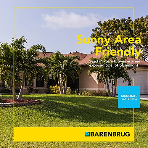 Barenbrug 25016 Bermudagrass Grass Seed for Sunny Areas and Humid Climates, 25 LB Bag