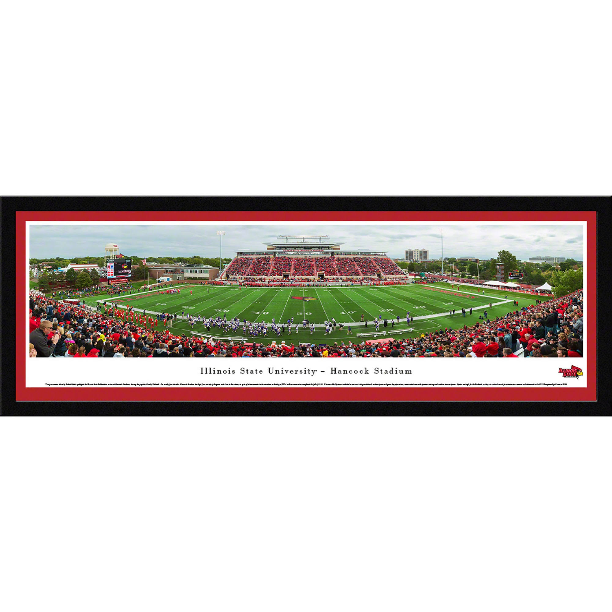 Arkansas Razorback Football - Stripe - Deluxe Frame