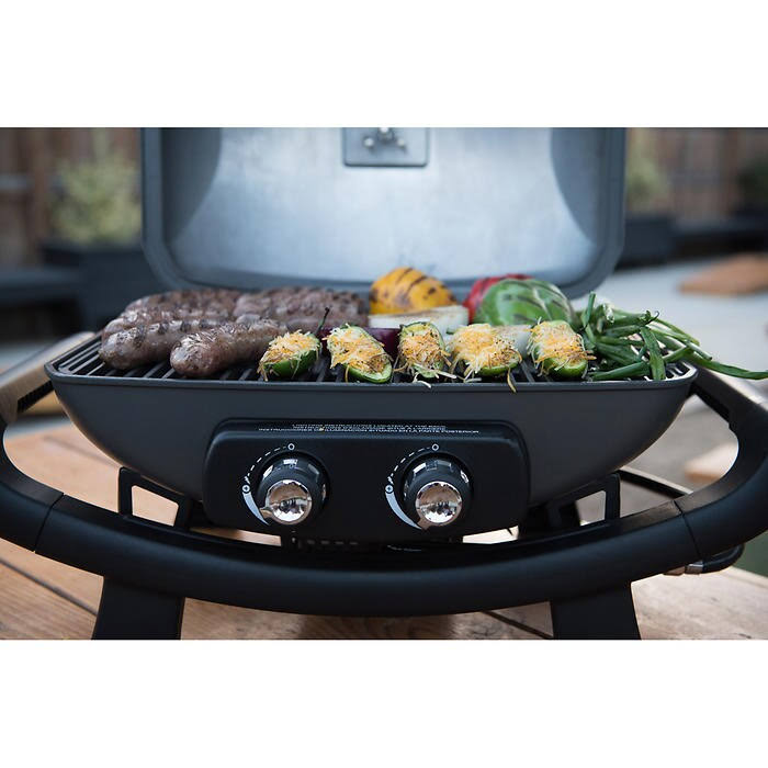 Nexgrill 2 Burner Cast Aluminum Table Top Gas Grill