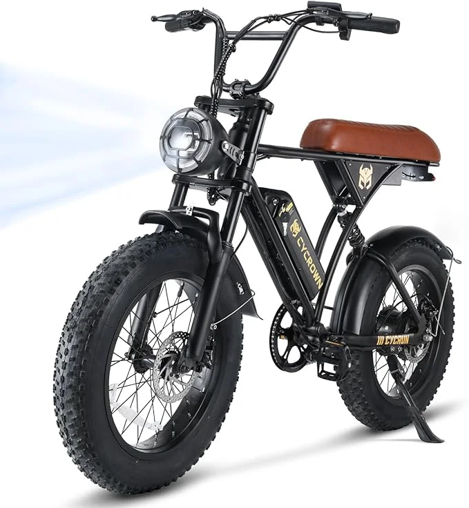 W1-CycRun Electric Bike for Adults 750W Motor with 36V 10.4 Battery, 20MPH 55Miles Moped Style Ebike for Adults, 20" Fat Tire Commuting Off Road Mountain Ebike