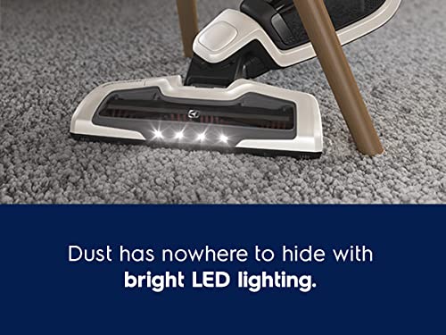Electrolux Ergorapido Pet Stick Vacuum