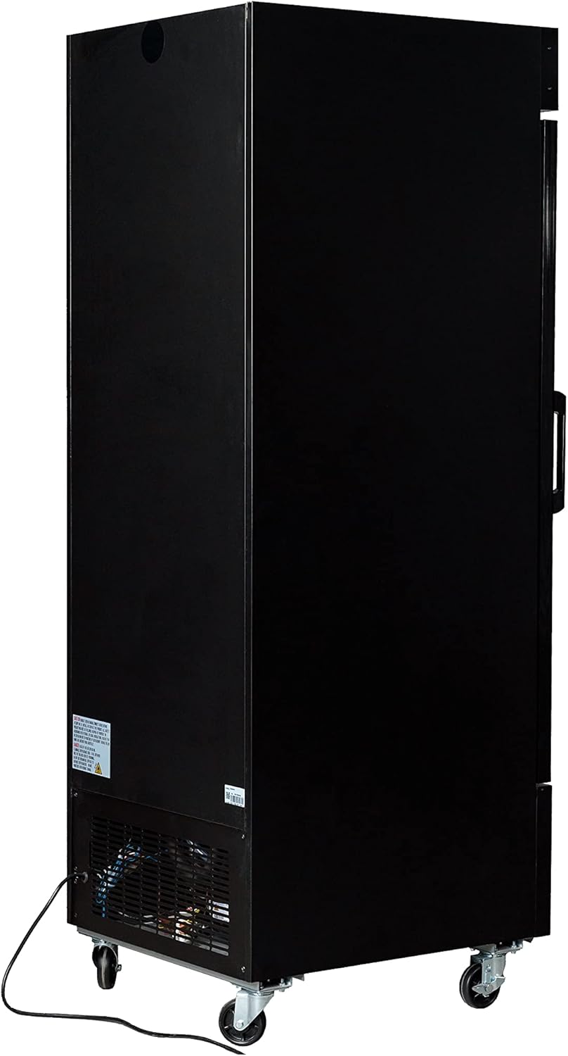 Retail Ice Cream Display Freezer & Frozen Treat Merchandiser; 23 Cubic Ft.