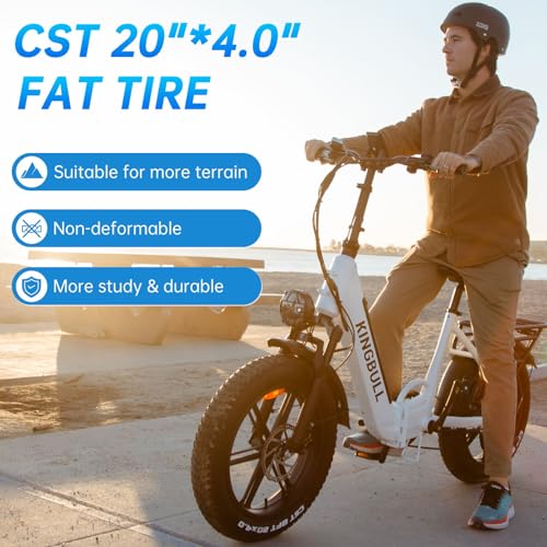 Electric Bike, Peak 1000W Motor 48V 17.5Ah Electric Bike for Adults, 28MPH 60Miles Range Commuter Electric Bicycle, CST 20"x 4.0" Electric Bicycle