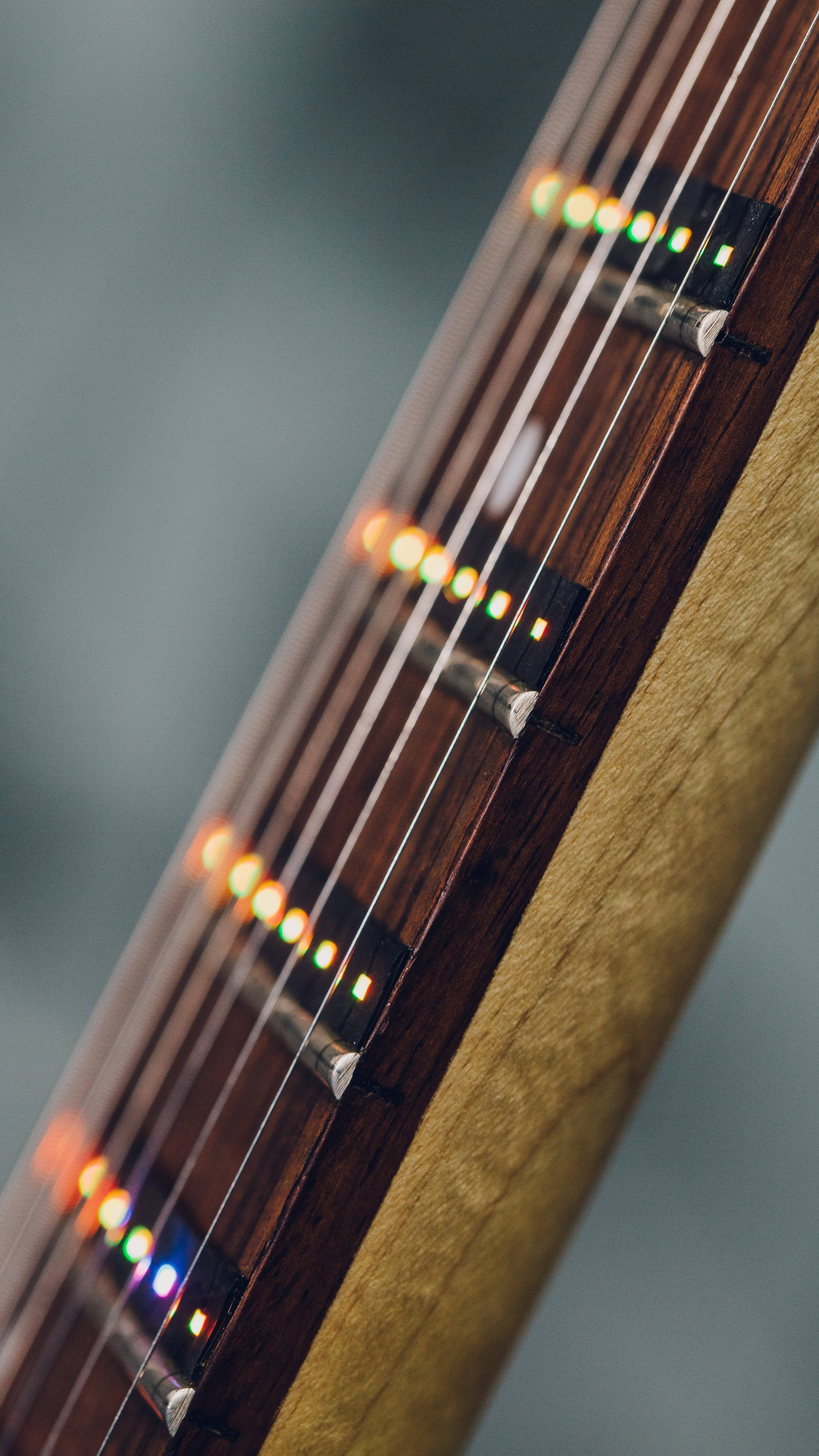 Fret Zealot LED Guitar Instruction 25.5x22 Scale Length
