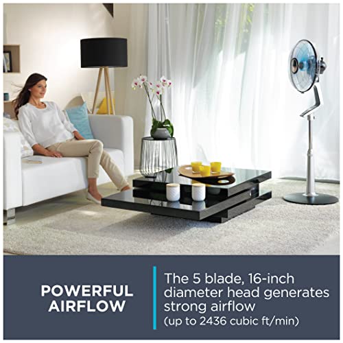 Rowenta Turbo Silence Table and Fan