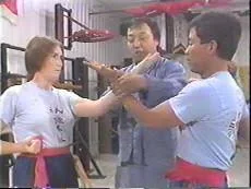 Mastering Wing Chun 8 DVD Set by Augustine Fong