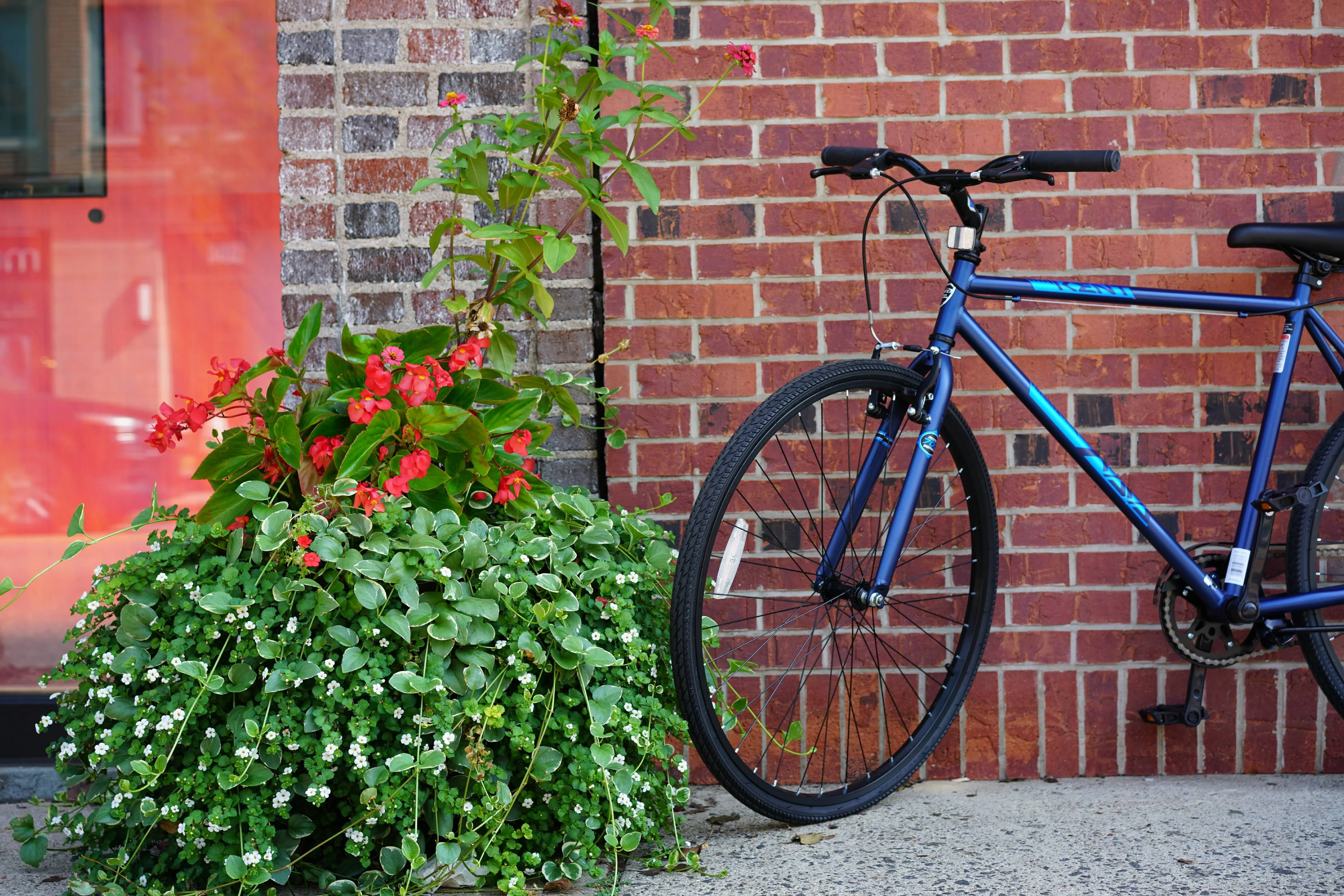 Kent 700c Thruster Fixie Men's Bike, Blue