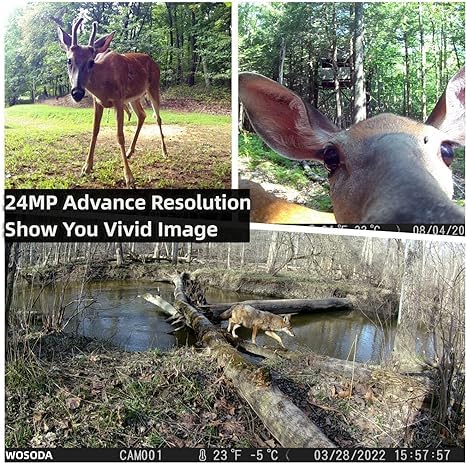 Trail Cameras 2 Pack 24MP 1080P HD, Waterproof Game Camera Motion Activated with Fast Trigger Time Infrared Night Vision, Hunting Camera for Outdoor Wildlife Monitoring