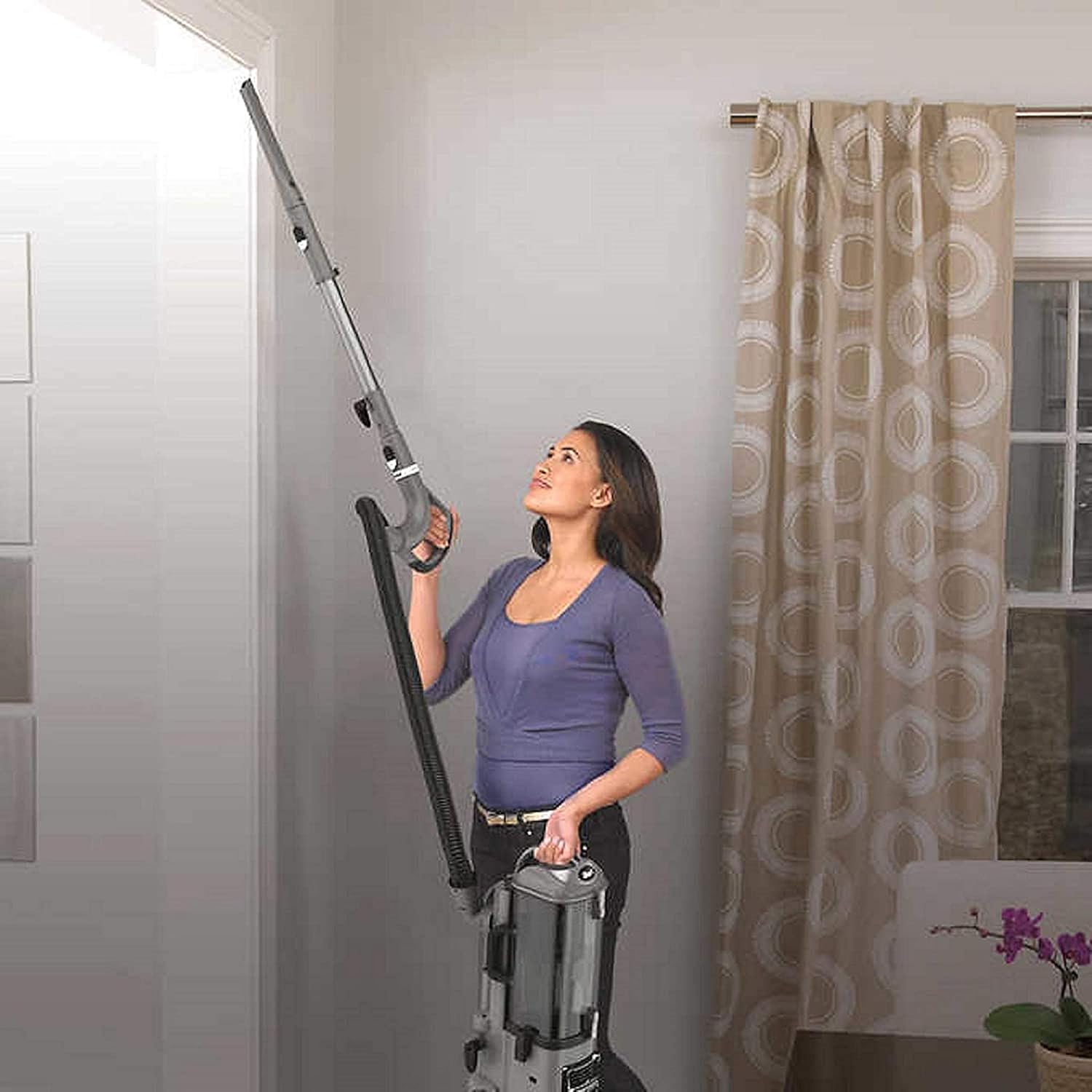 Shark Navigator Professional Upright Corded Bagless Vacuum for Carpet and Hard Floor with Lift-Away Hand Vacuum and Anti-Allergy Seal (NV370), White (Renewed)