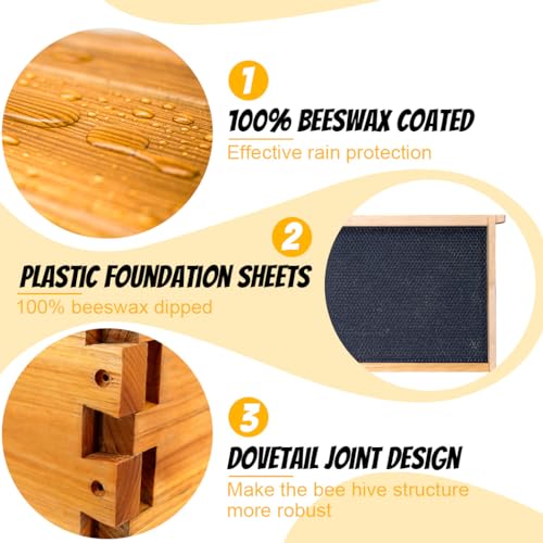 Honey Lake 10 Frame Bee Hive Starter Kit, Complete Beehive Kit for Beekeepers Dipped in 100% Beeswax Includes 1 Deep Brood Box & 1 Medium Super Bee Box with Beehive Frames and Waxed Foundation Sheet