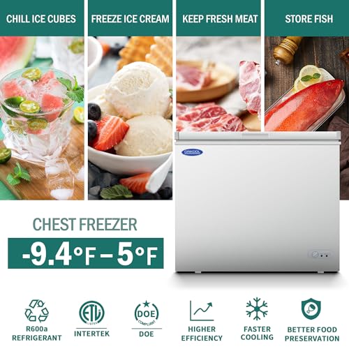 Chest Freezer, Solid Top Commercial Deep Chest Freezers with Lockable Stay-Open Lid Painted for Back-of-House Bulk Storage 110V Ice Cream Freezers