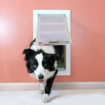 Endura Flap Wall Mount Pet Door Medium / Single Flap / Black