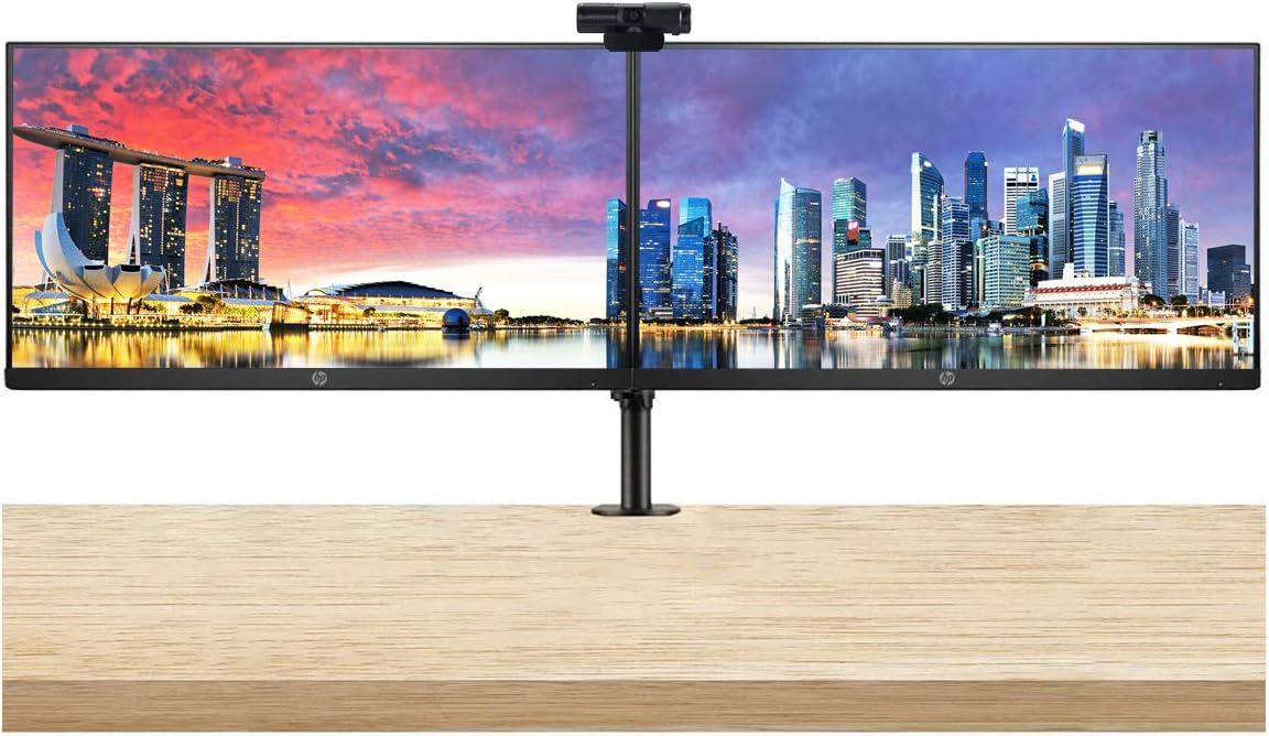 HP P224 21.5 Inch FHD LED-Backlit LCD IPS Anti-Glare Monitor (HDMI, VGA, DisplayPort) 2-Pack Bundle with PW313 Full HD 1080p Live Streamer Webcam and Desk Mount Clamp Dual Monitor Stand