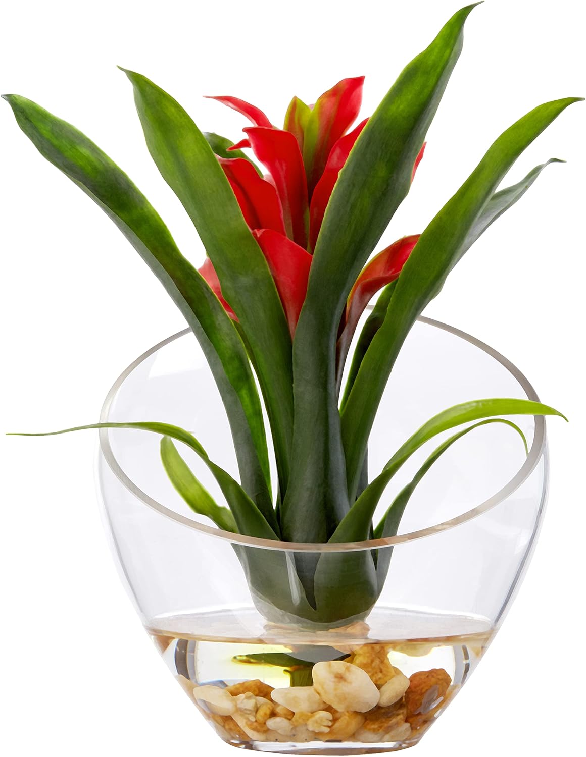 Nearly Natural 1535-RD Tropical Bromeliad in Angled Vase, 8, Red