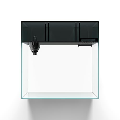 LANDEN Ultra Clear Glass Rimless Low Iron Aquarium Tank with Rear Filtration Chamber for Salt and Fresh Water, Made of All Glass(Return Pump Included)