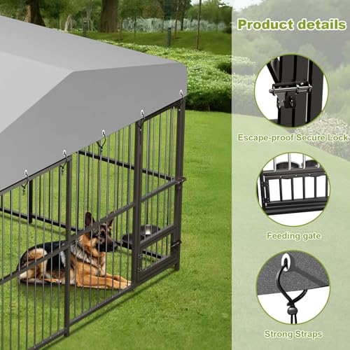 10x10x6 FT Outdoor Dog Kennel,Heavy-Duty Enclosures Outside with UV-Resistant Waterproof Roof Cover and Lock,for Medium and Large Dogs,Easy Assembly