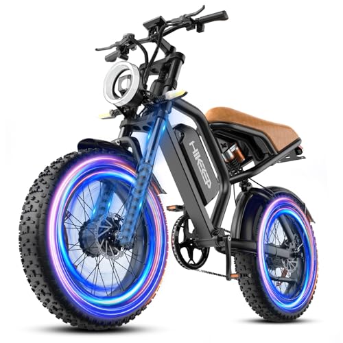 Electric Bike for Adults, 750W/1500W Peak Motor Ebike, 48V 15Ah Removable Battery, 60 Miles (PAS), 20"x4.0" Fat Tire, Full Suspension, 7-Speed Gears Shifter- Commuter & Off-Road E-Bike