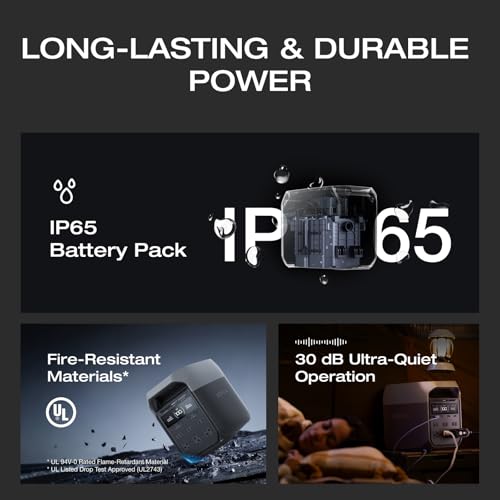 EF ECOFLOW Solar Generator DELTA2 with 220W Solar Panel, LFP(LiFePO4) Battery, Fast Charging, Portable Power Station for Home Backup Power, Camping & RVs