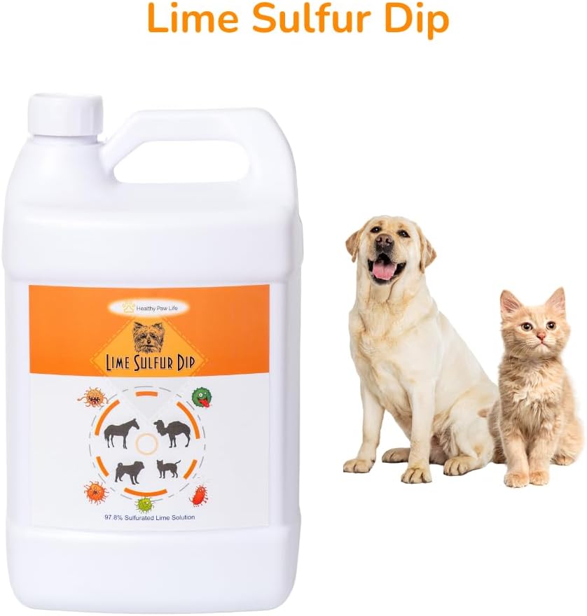 Lime Sulfur Dip and Antiparasitic & Antiseborrheic Sulfur Salicylic Acid Dog Shampoo- 1 Gallon Each - Safe Solution for Itchy Skin, Hot Spots, Yeast & Mange - Healthy Paw Life