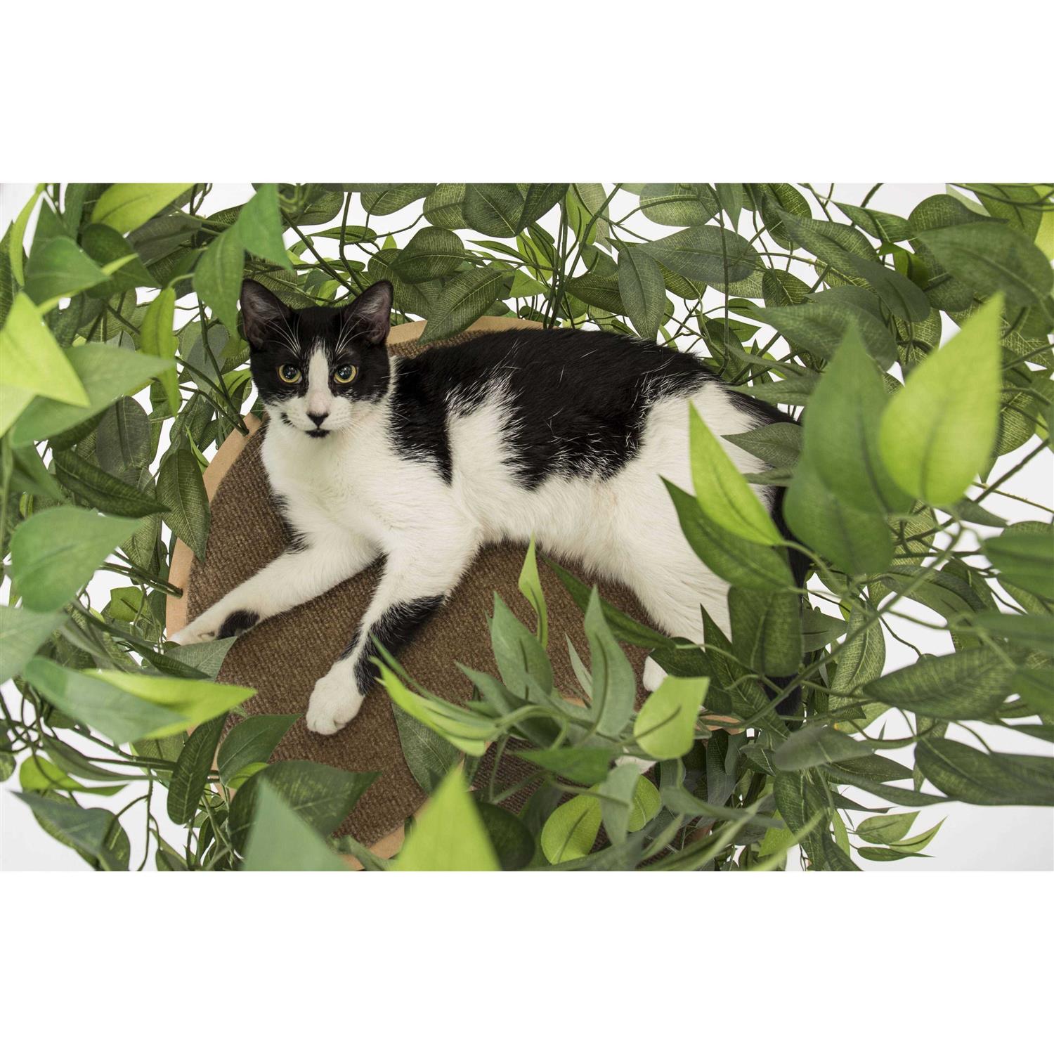 On2Pets Cat Tree with Leaves Cat House &amp; Cat Activity Tree - Pet Supplies online store