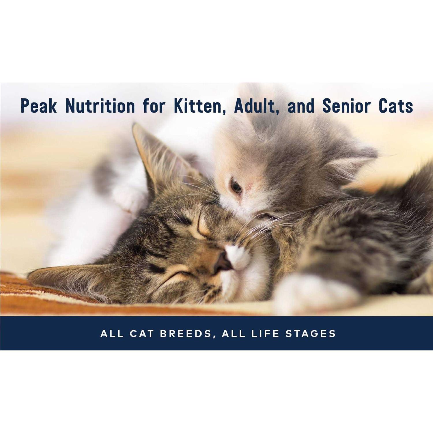 Ziwi Peak Chicken Recipe Canned Cat Food - Pet Supplies online store