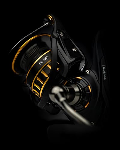 Daiwa BG Reel Kit with Braided Line and SP Minnow