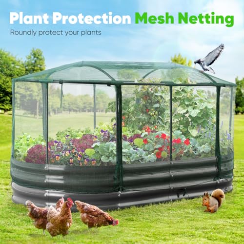 Quictent Galvanized Raised Garden Bed Kit with Anti-Bird Netting Mesh Cover, Large Oval Metal Outdoor Planter Garden Boxes for Vegetables Herbs Flowers, 6x3x1Ft