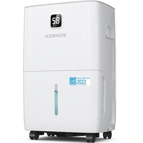Home Dehumidifier