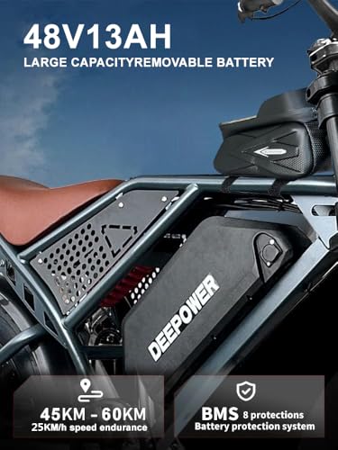 Electric Bike for Adult,1500W Peak Brushless Motor 30 MPH Fat Tire E Bike with 624-2880Wh Removable Battery 20" Electric Dirt Bike with Dual Suspension and 7-Speed
