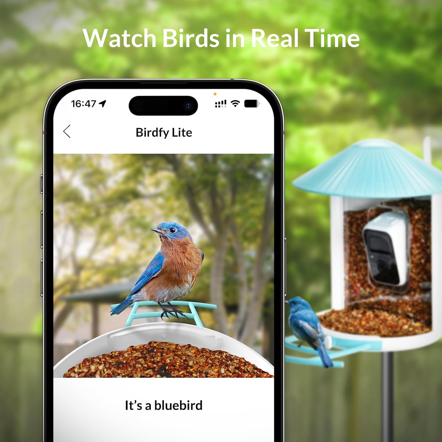 NETVUE Smart Bird Feeder with Camera, Auto Capture Bird Video & Notify, Battery Powered Wireless Outdoor Bird Watching Camera, Ideal Gift for Bird Lover