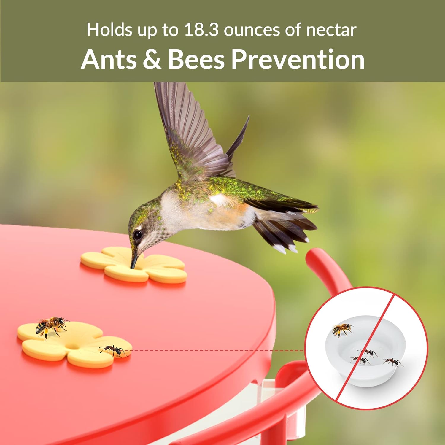 NETVUE Birdfy Solar Camera with Humming Bird Feeder Extension Perch
