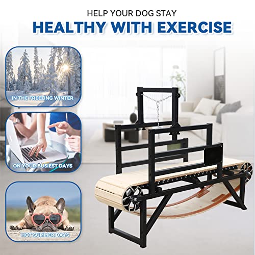 Dog Treadmill for Large/Medium Dogs, Dog Running Machine Exercise Equipment for Large Dogs