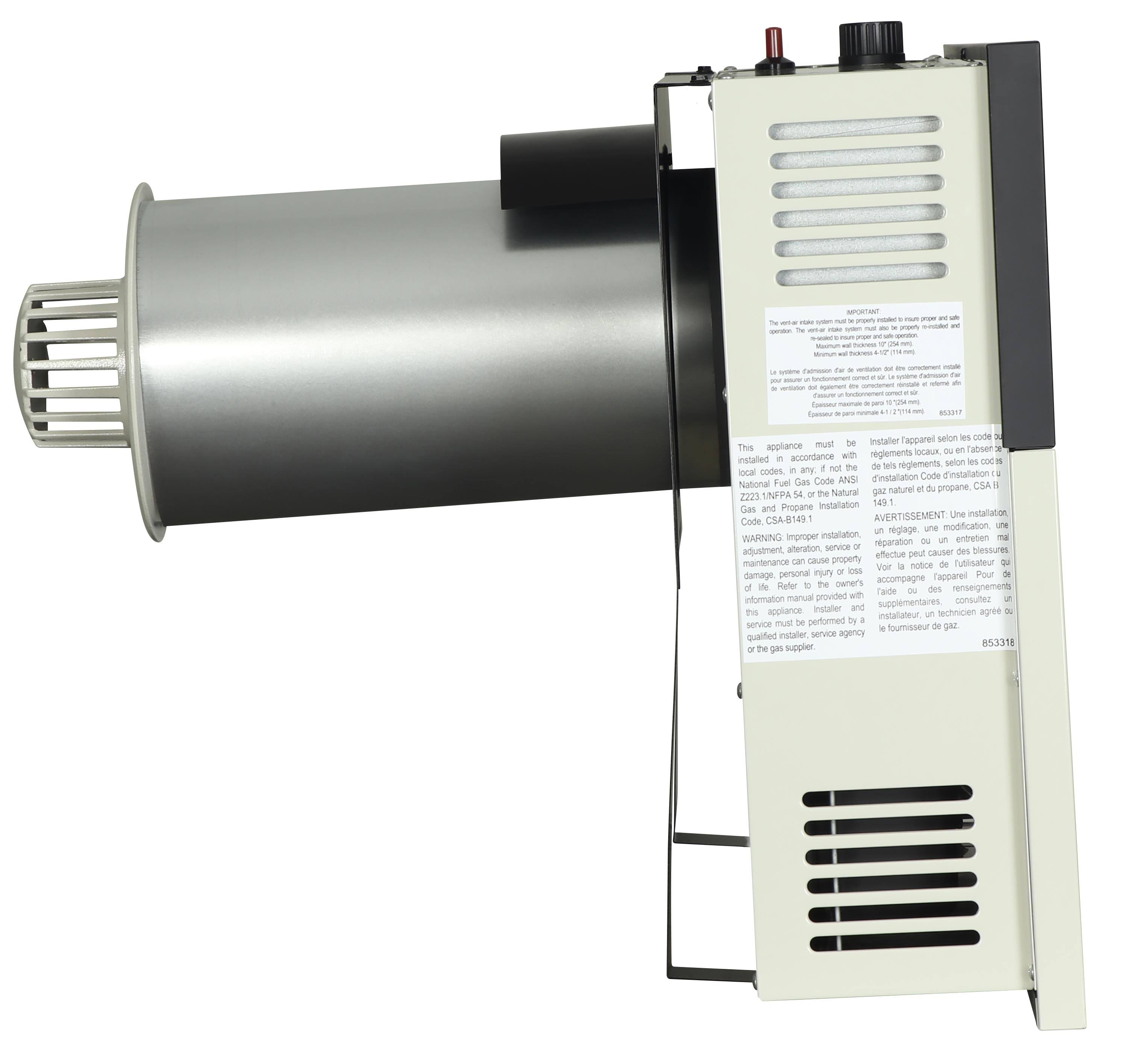 Ashley Hearth Products - 17,000 BTU Direct Vent Natural GAS Heater