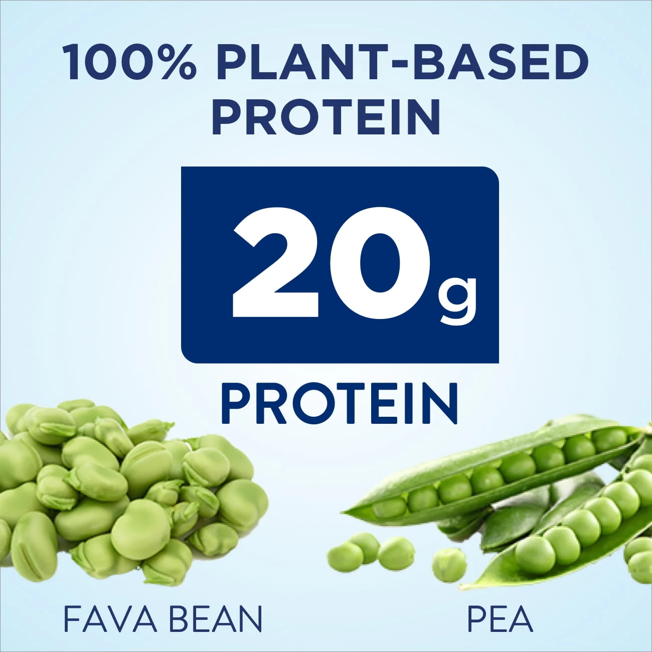 Ensure Plant-Based Vegan Protein Vanilla Nutrition Shake | 12 Pack