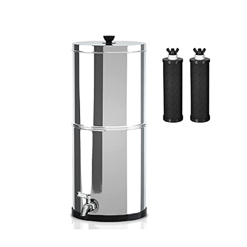 Ginkin Gravity-fed Water Filter System,with 2 Purification Filters for Home Camping Travel Outdoor Activities Emergencies,2.25-Gallon Stainless-Steel Countertop System