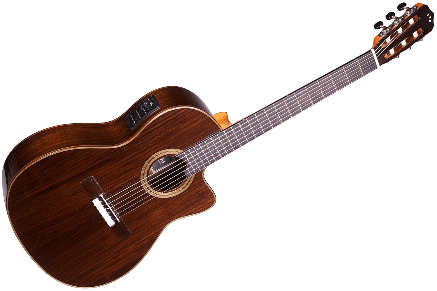 Cordoba Fusion 14 Rose Acoustic-Electric Classical Guitar