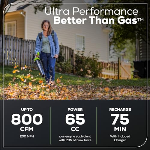 Greenworks 80V Backpack Blower, 2.5Ah Battery
