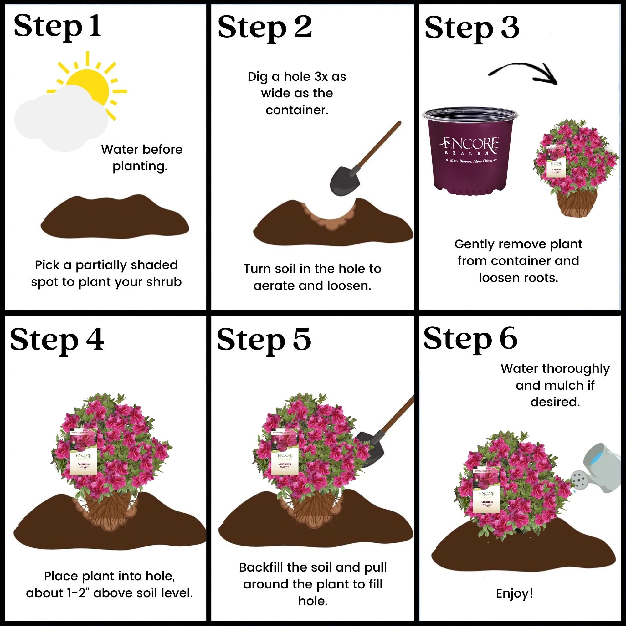 Encore Azalea Autumn Rouge Live Shrubs - Curated Treasures Market